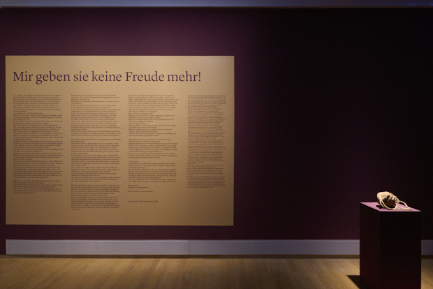 DRIVEN BY THOUGHTS AND VAGUE SENSATIONS, Lotte Linder & Till Steinbrenner