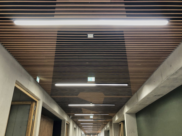 RE-GENERATION, Lotte Linder & Till Steinbrenner