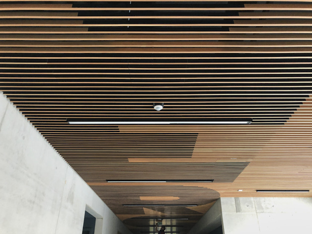 RE-GENERATION, Lotte Linder & Till Steinbrenner