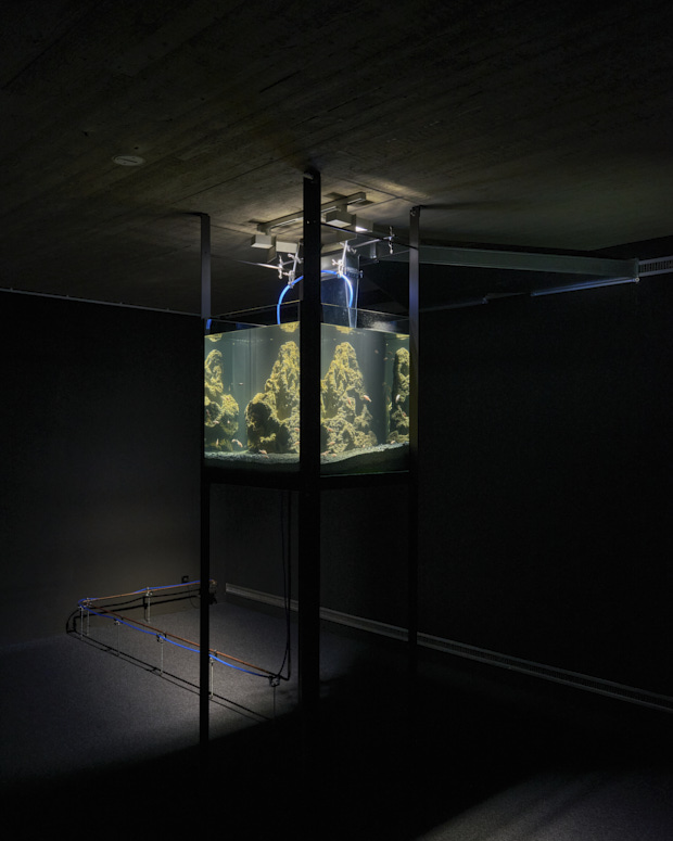 BELOW THE BEACH, Lotte Linder & Till Steinbrenner